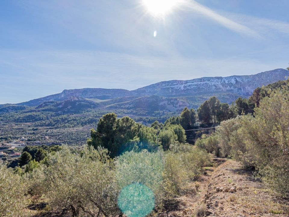 Helårsgrund i Benifato, Alicante - foto 4