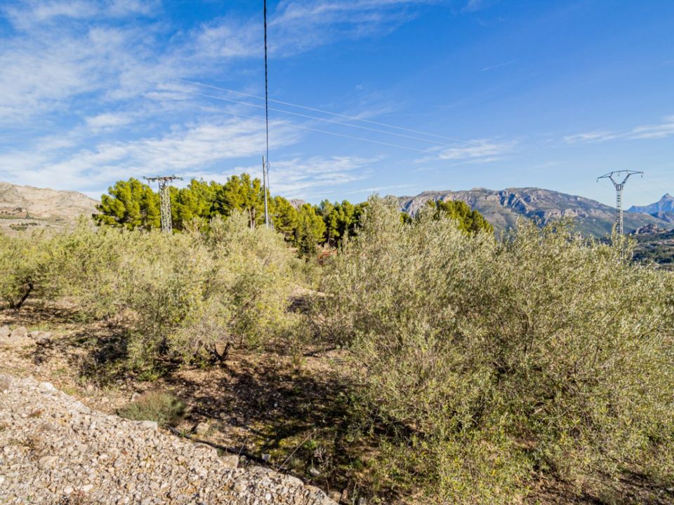 Helårsgrund i Benifato, Alicante - foto 5
