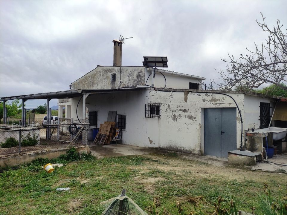 Landejendom i Albaida, Valencia - foto 3