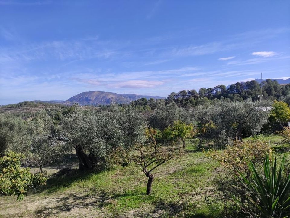 Herregård i Benifallim, Alicante - bilde 2