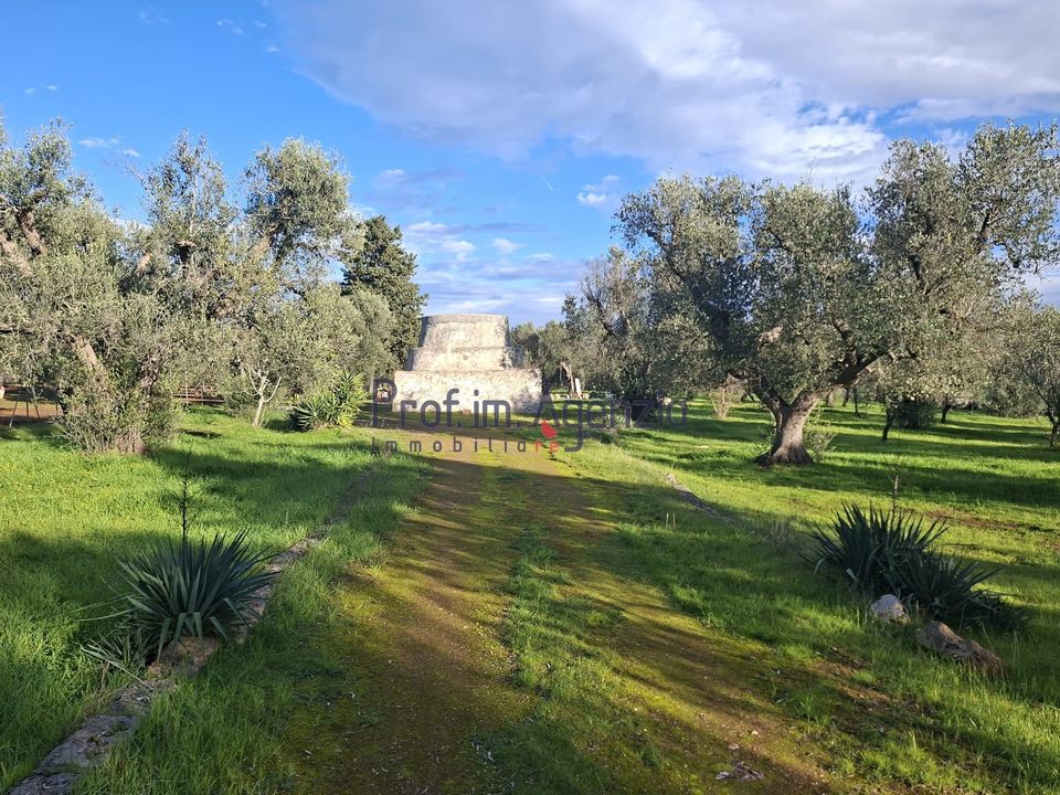 Landejendom i San Michele Salentino, Brindisi - foto 4