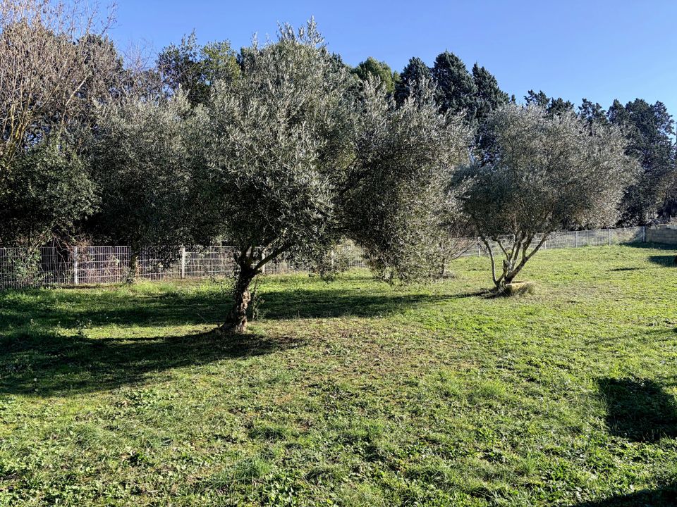 Villa i Carcassonne, Aude - foto 2