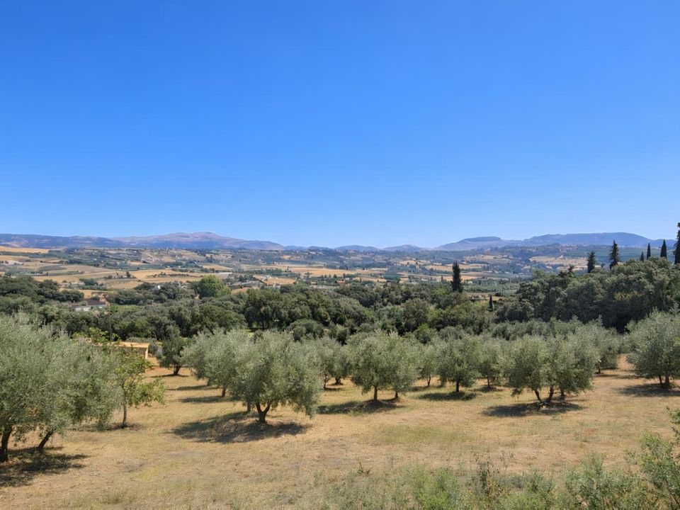 Villa i Ronda, Malaga - foto 5
