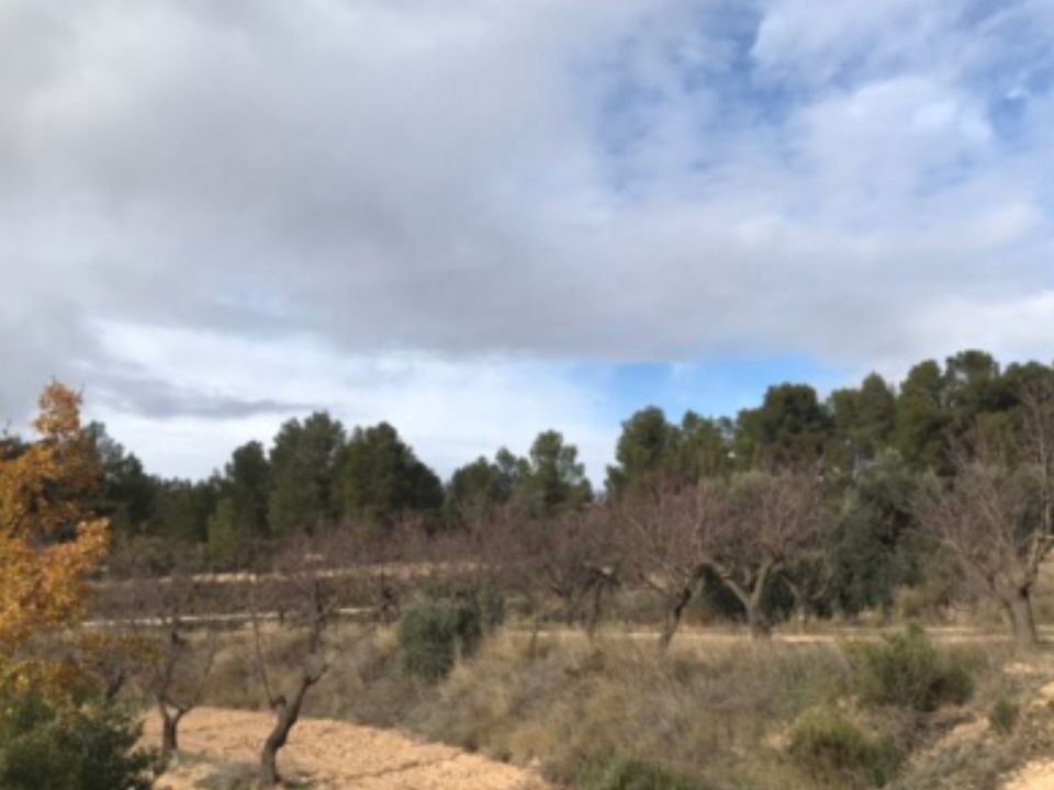 Finca en Caseres, Tarragona - foto 4