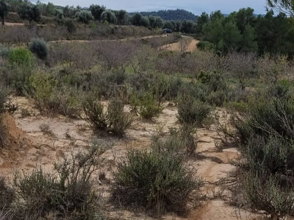 Finca en Caseres, Tarragona - foto 2