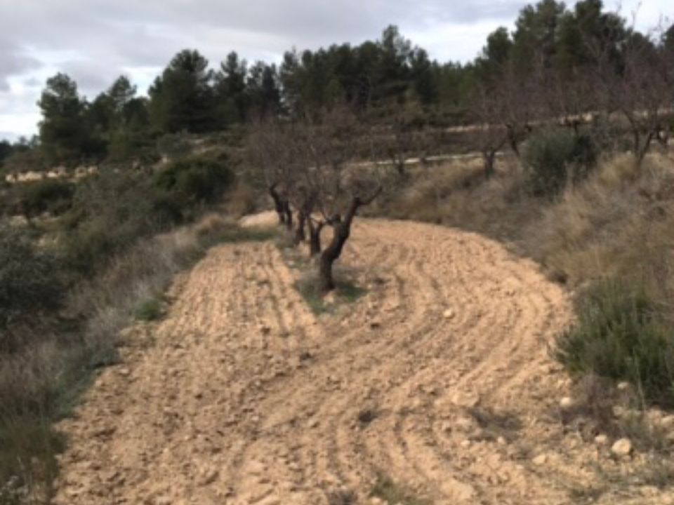 Finca en Caseres, Tarragona - foto 5