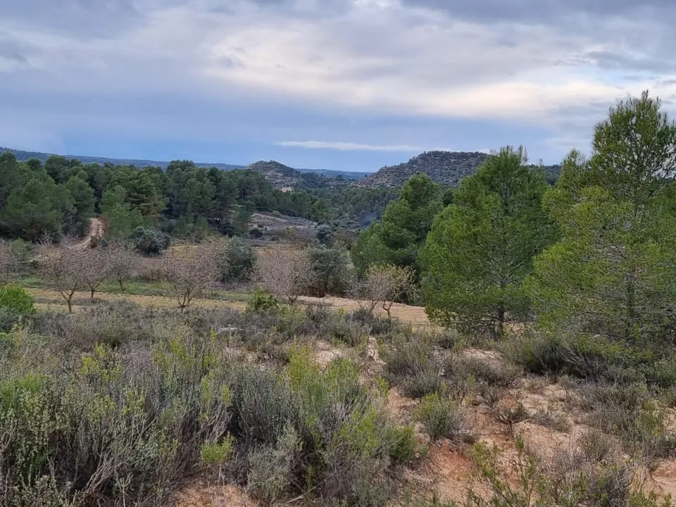 Finca en Caseres, Tarragona - foto 1