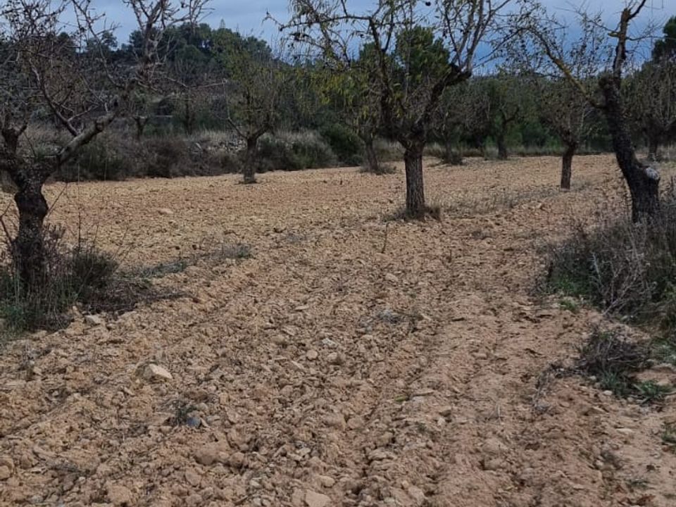 Finca en Caseres, Tarragona - foto 5