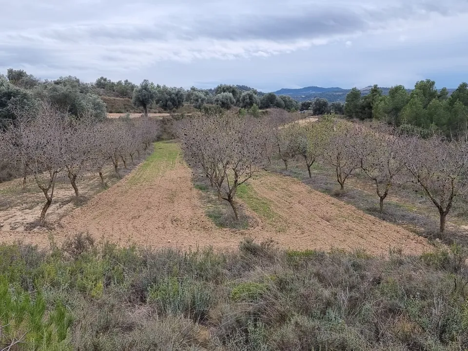 Finca en Caseres, Tarragona - foto 1