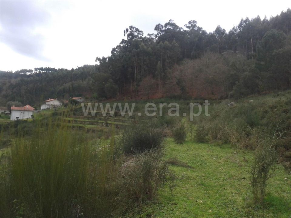 Helårsgrund i Barcelos, Braga - foto 3