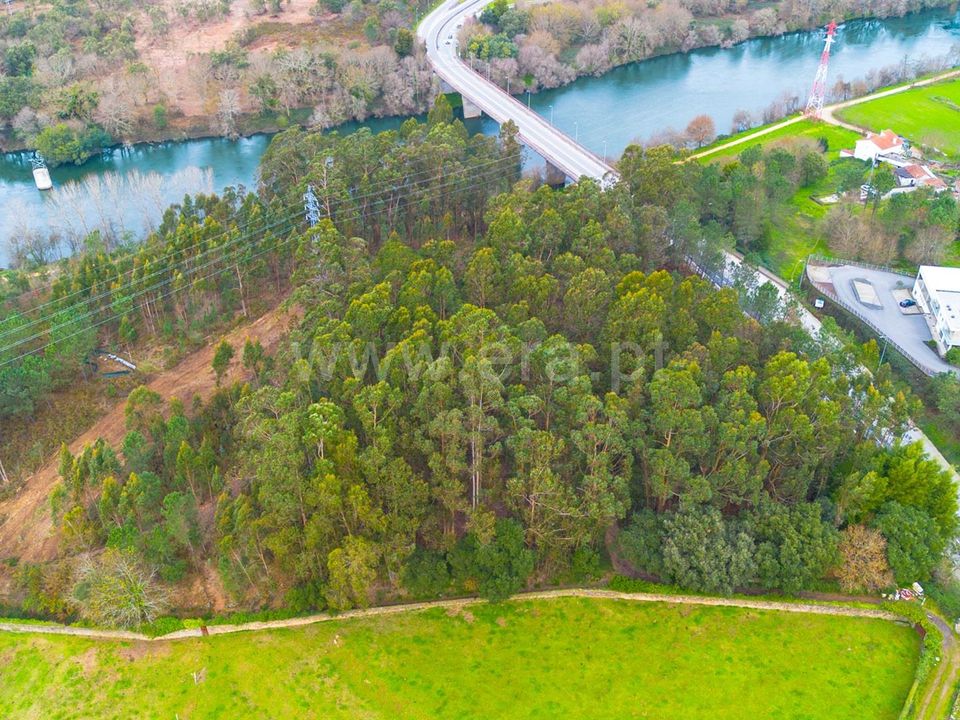 Helårsgrund i Barcelos, Braga - foto 3
