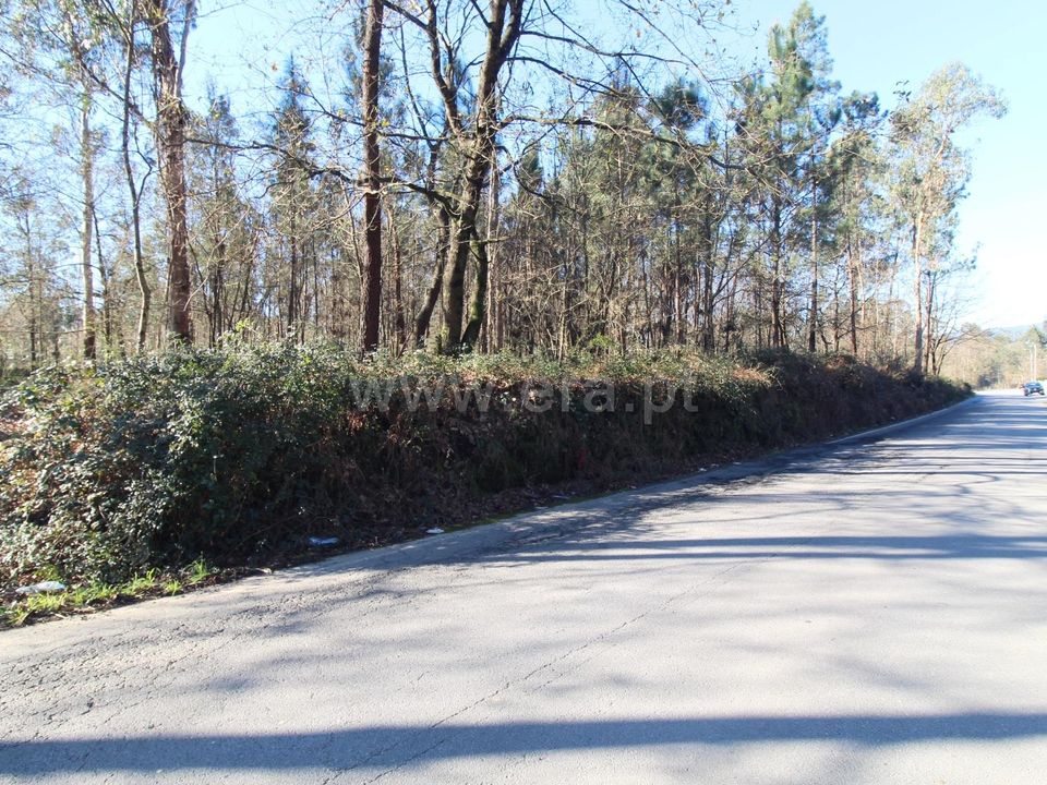 Helårsgrund i Barcelos, Braga - foto 1