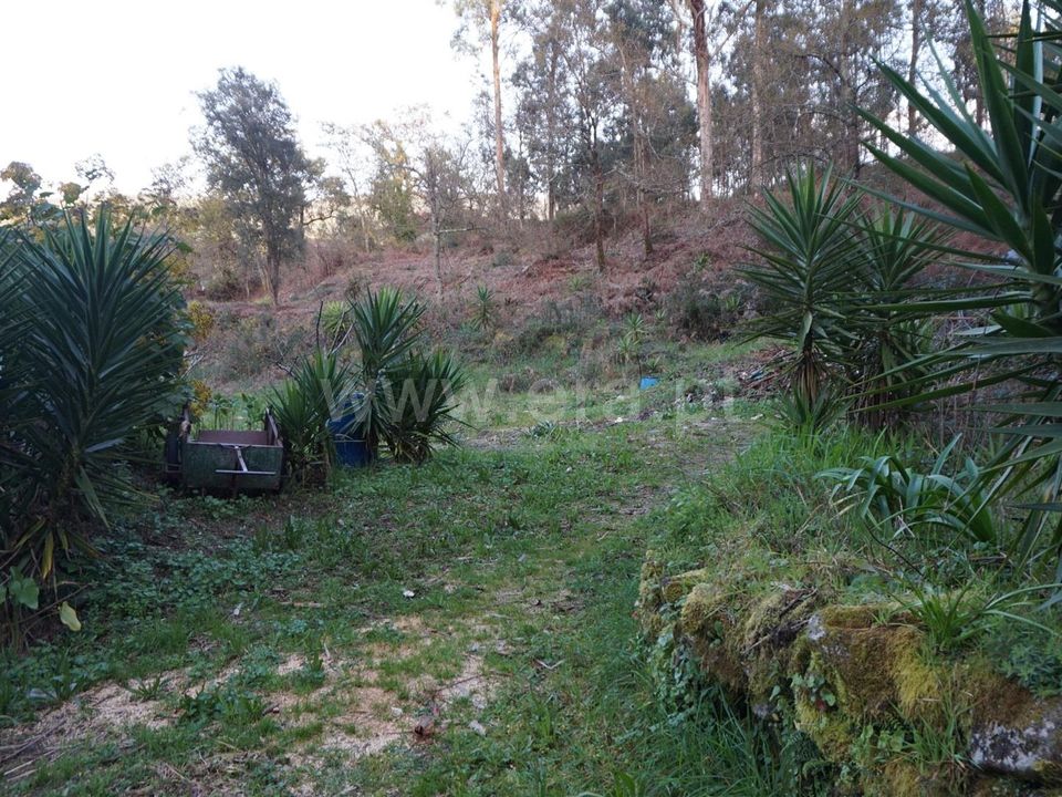Helårsgrund i Barcelos, Braga - foto 1