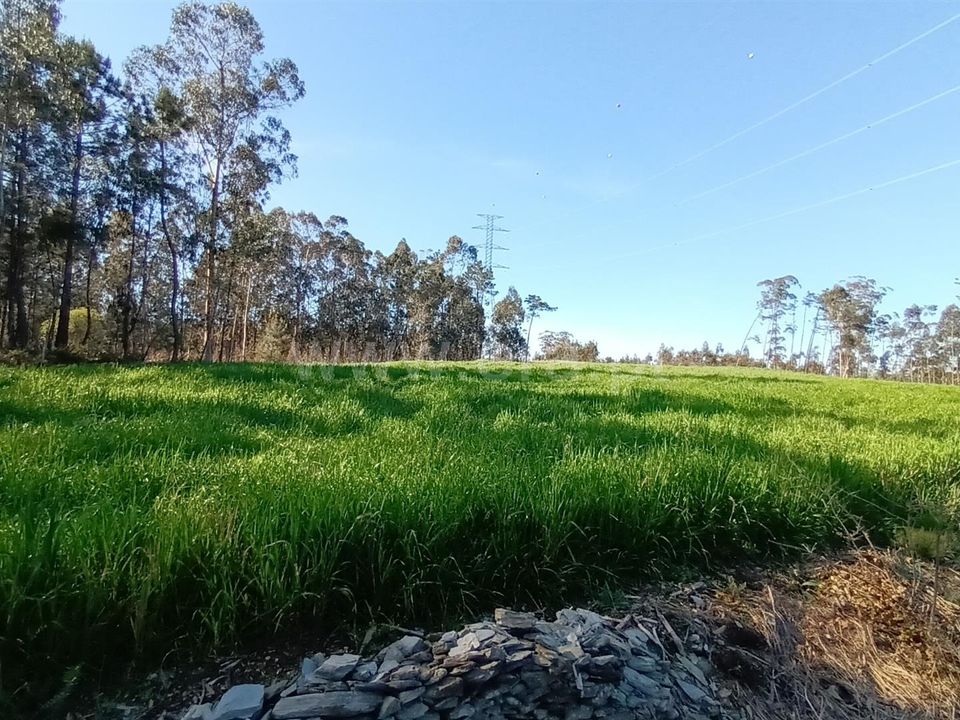 Helårsgrund i Barcelos, Braga - foto 2