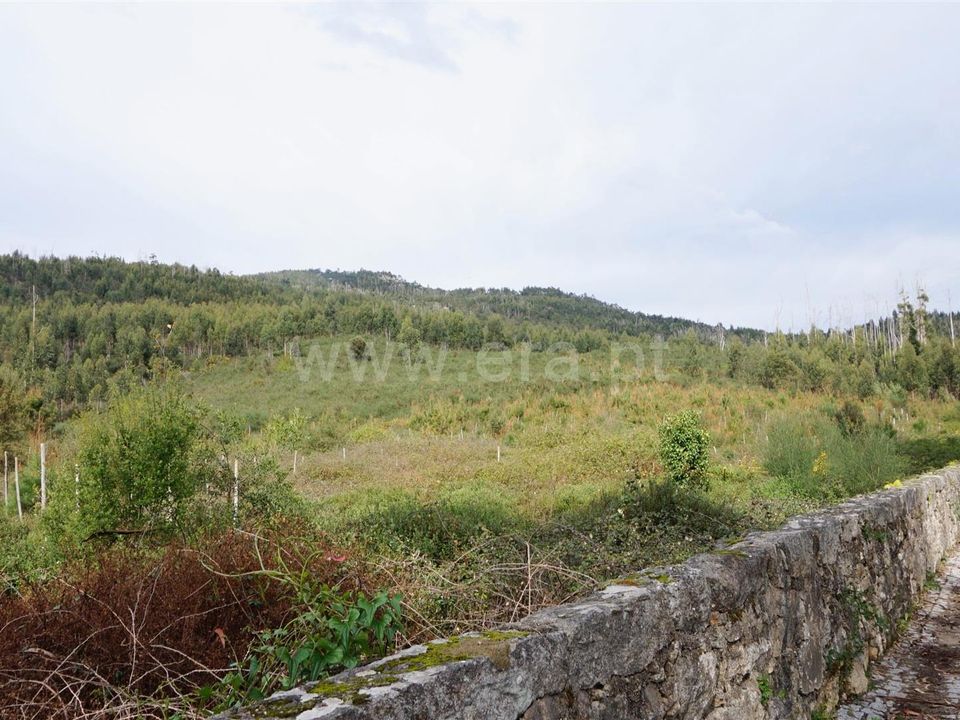 Helårsgrund i Barcelos, Braga - foto 1