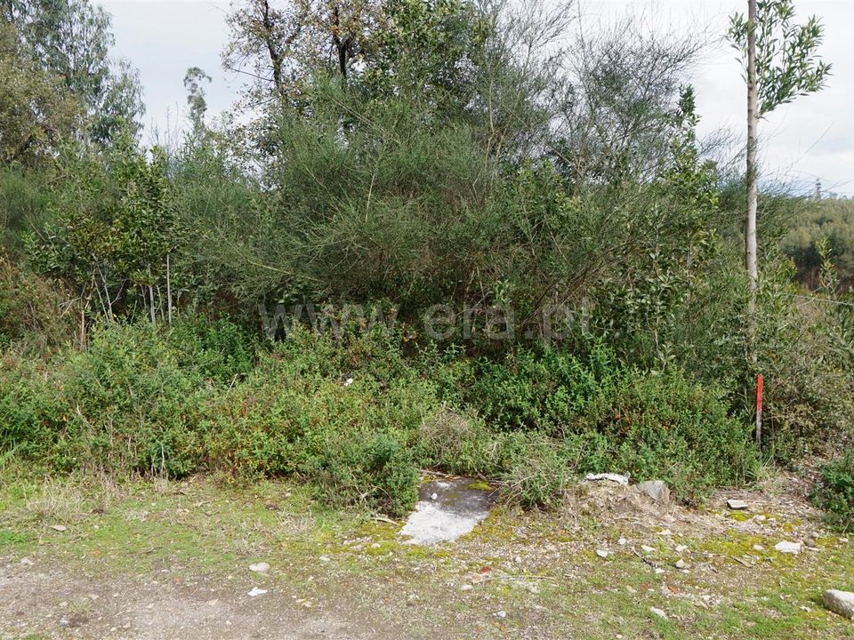 Helårsgrund i Barcelos, Braga - foto 4