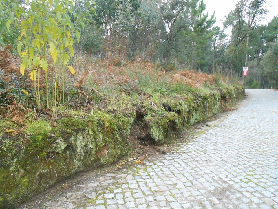 Helårsgrund i Barcelos, Braga - foto 3