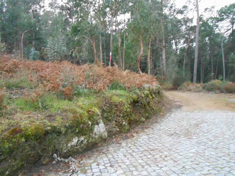 Helårsgrund i Barcelos, Braga - foto 1