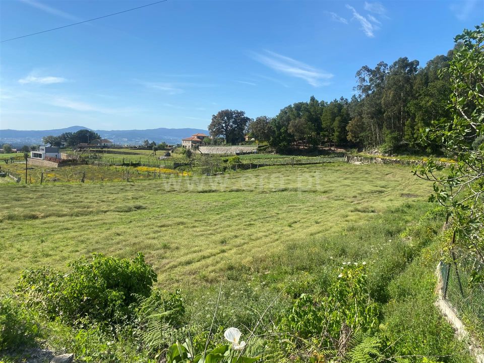 Helårsgrund i Barcelos, Braga - foto 4