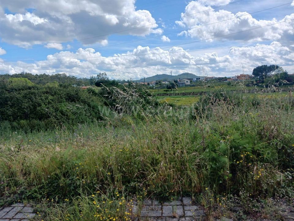 Helårsgrund i Barcelos, Braga - foto 5