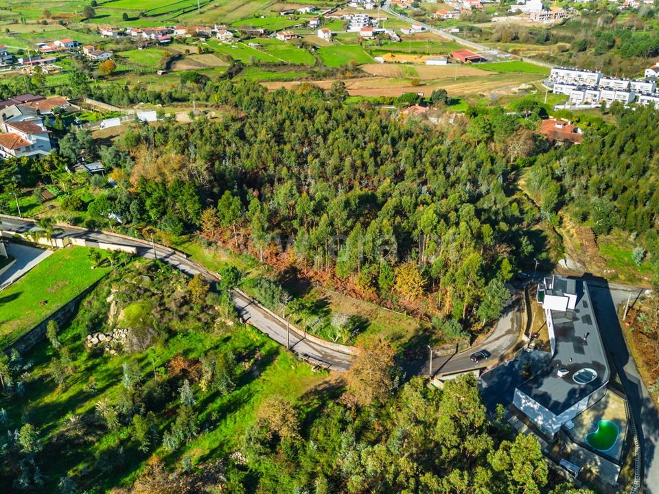 Helårsgrund i Barcelos, Braga - foto 5