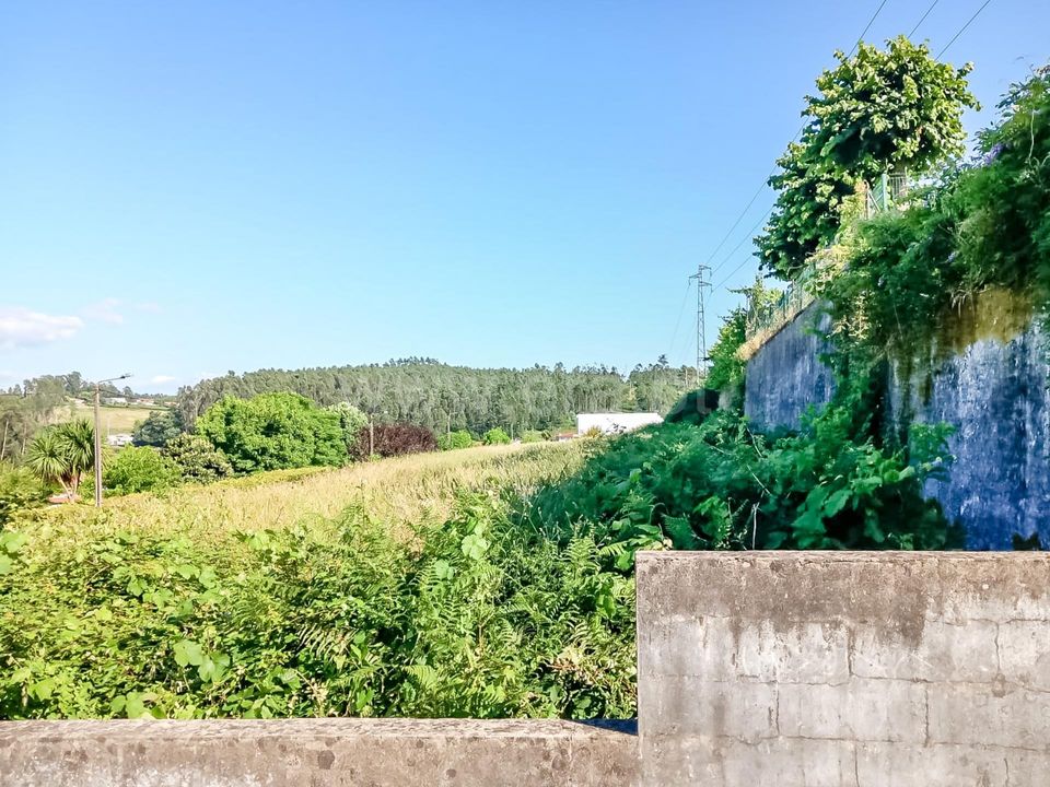 Helårsgrund i Barcelos, Braga - foto 3