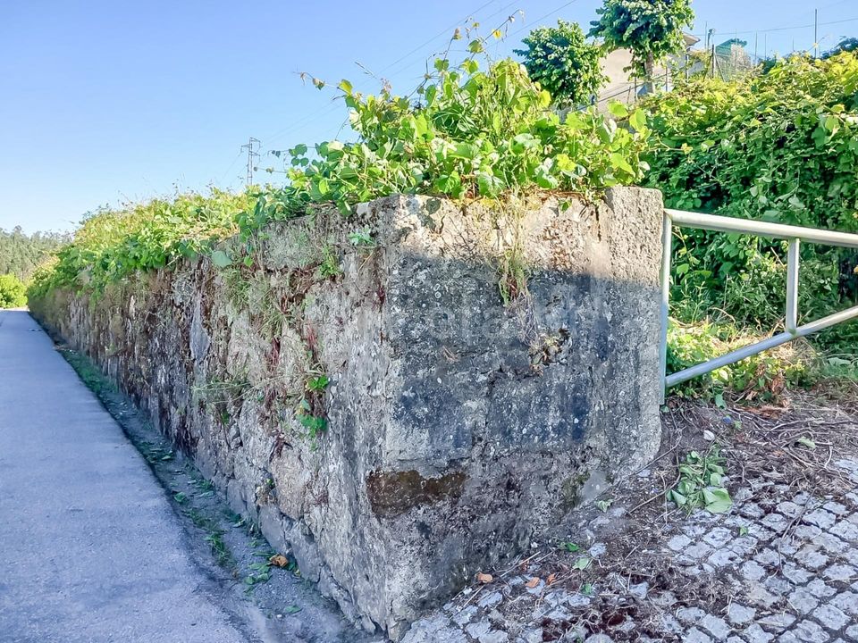 Helårsgrund i Barcelos, Braga - foto 4