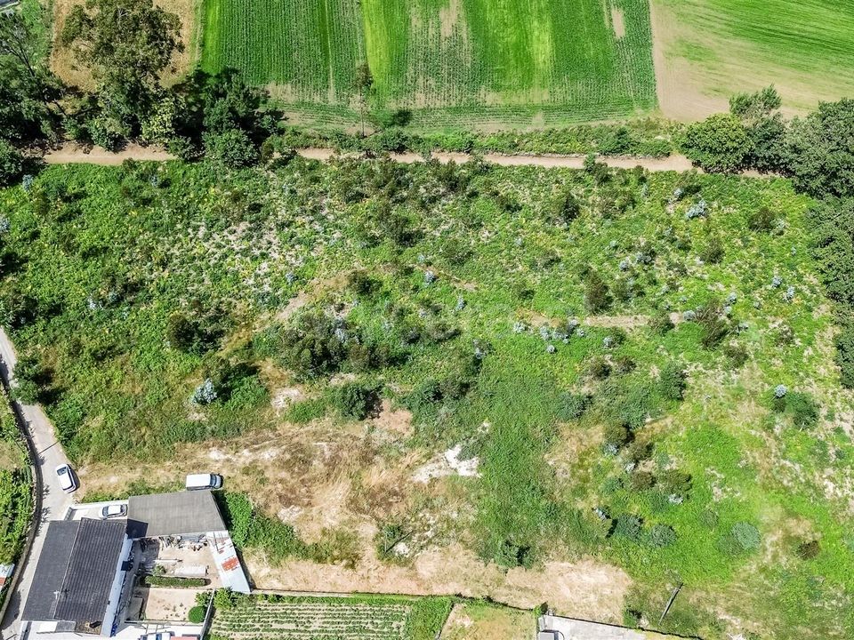 Helårsgrund i Barcelos, Braga - foto 4