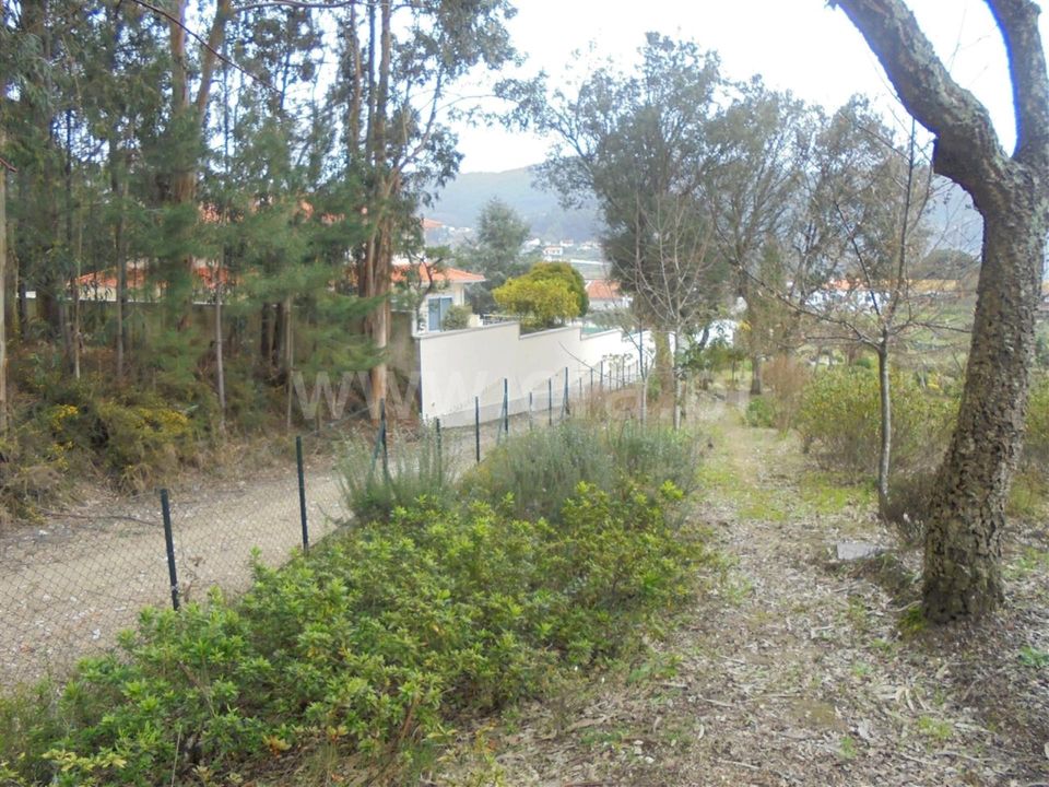 Helårsgrund i Barcelos, Braga - foto 4