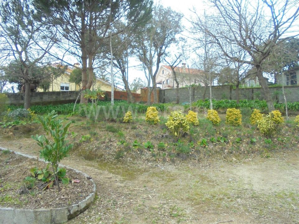 Helårsgrund i Barcelos, Braga - foto 5