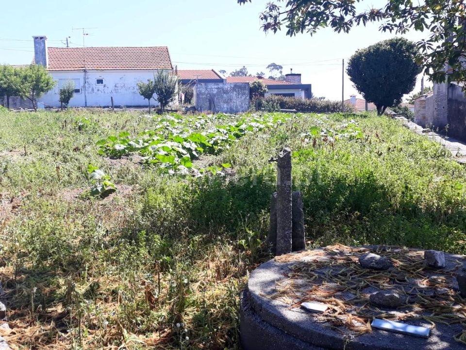 Helårsgrund i Barcelos, Braga - foto 4