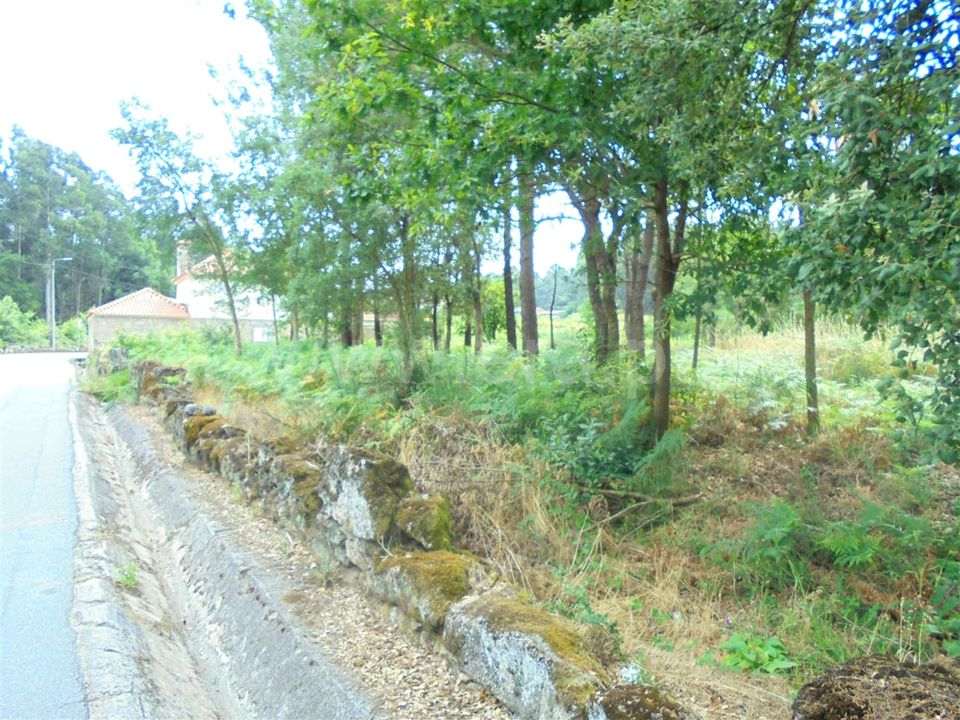 Helårsgrund i Barcelos, Braga - foto 1