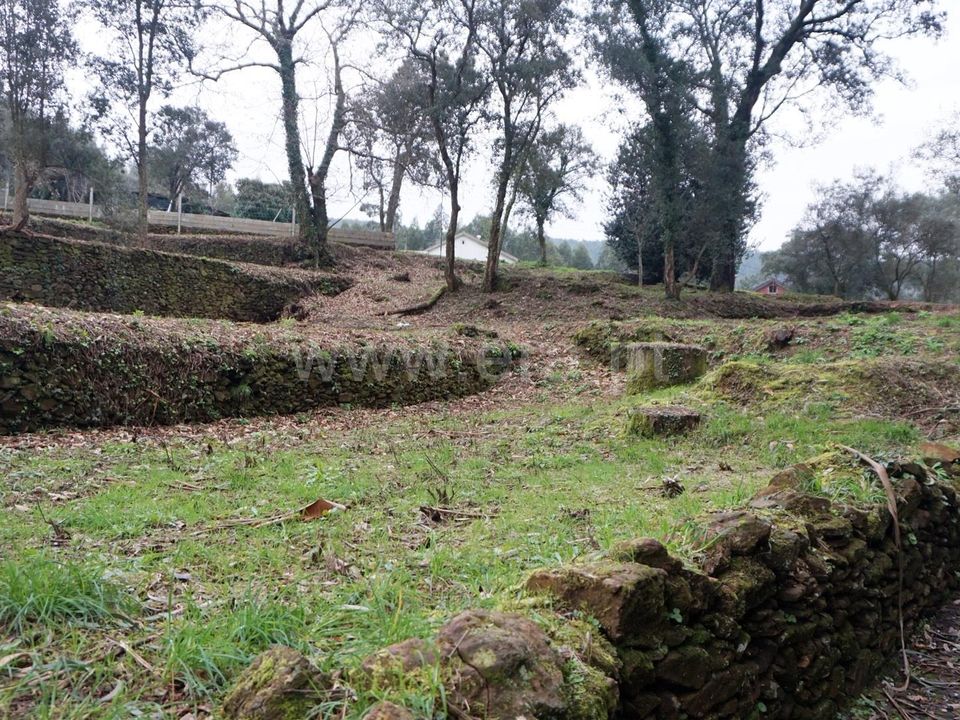 Helårsgrund i Barcelos, Braga - foto 3