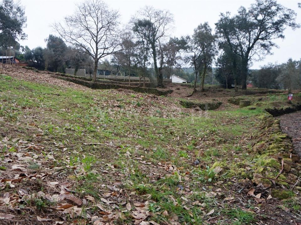 Helårsgrund i Barcelos, Braga - foto 4