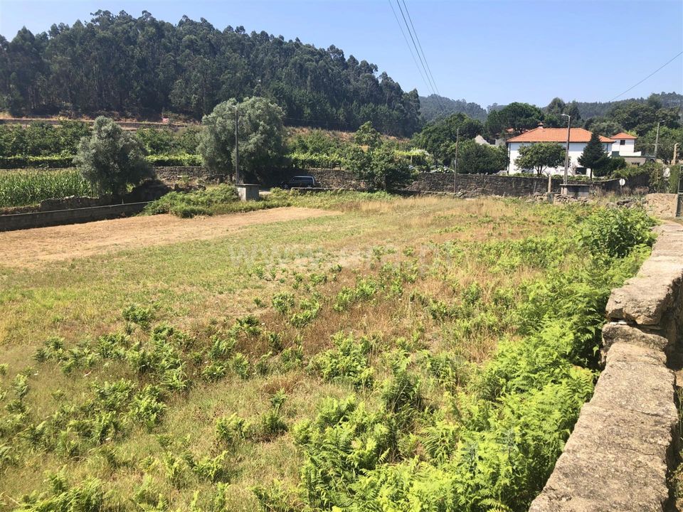 Helårsgrund i Barcelos, Braga - foto 3