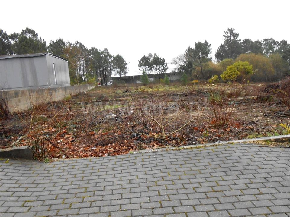 Helårsgrund i Barcelos, Braga - foto 3