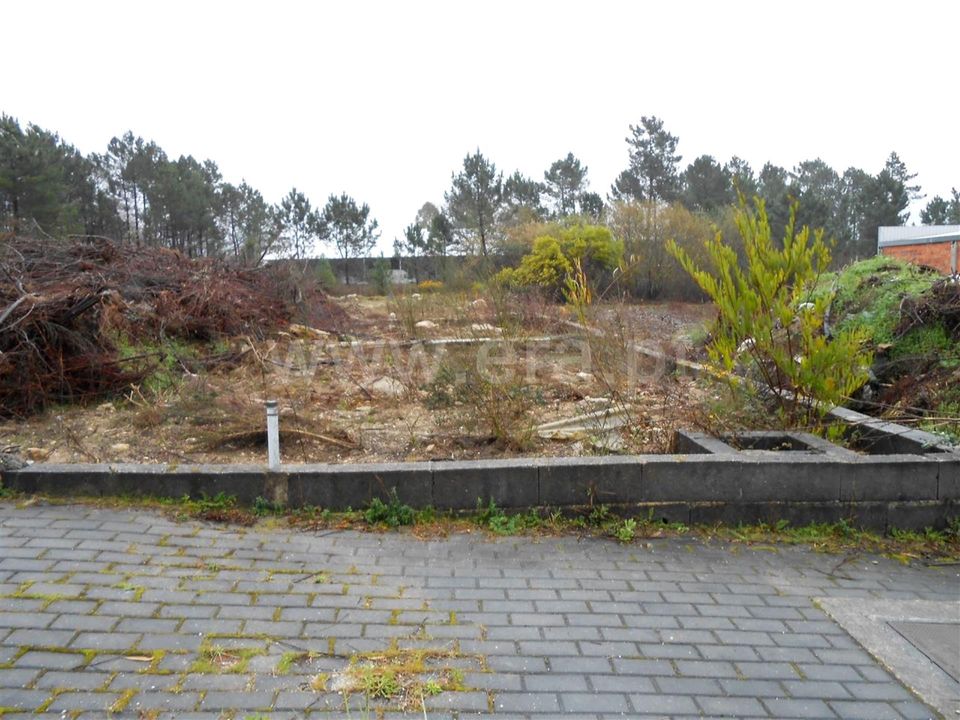 Helårsgrund i Barcelos, Braga - foto 4