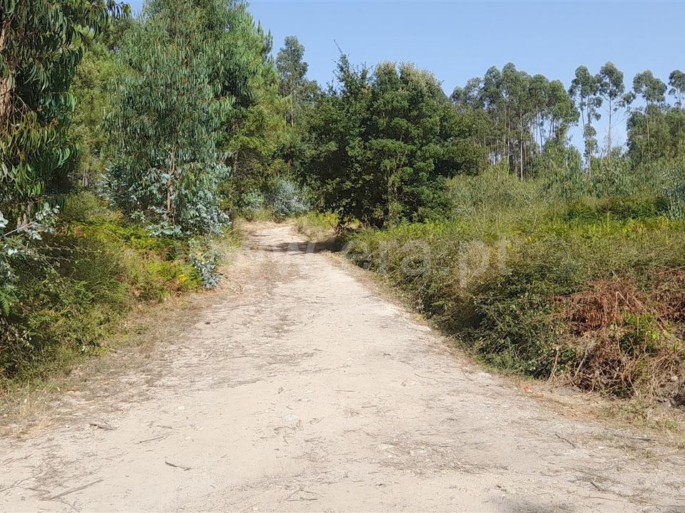 Helårsgrund i Barcelos, Braga - foto 2