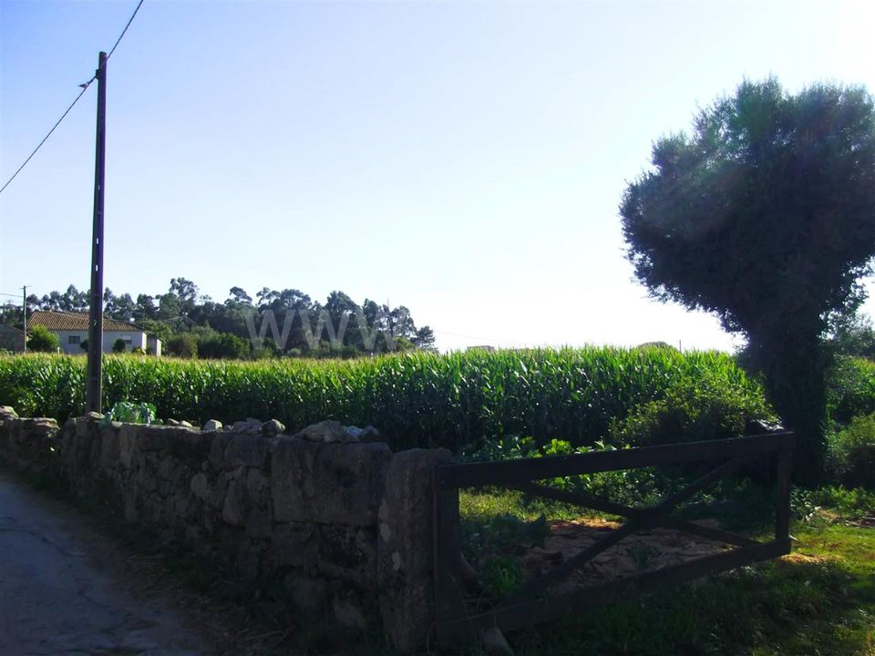 Helårsgrund i Barcelos, Braga - foto 4