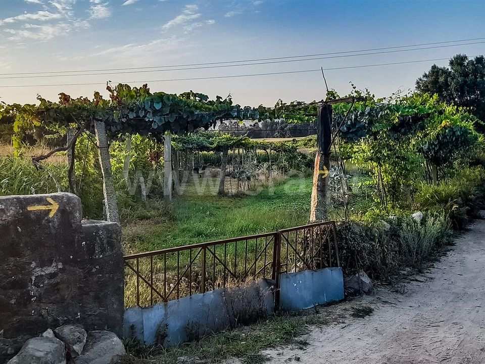 Helårsgrund i Barcelos, Braga - foto 5