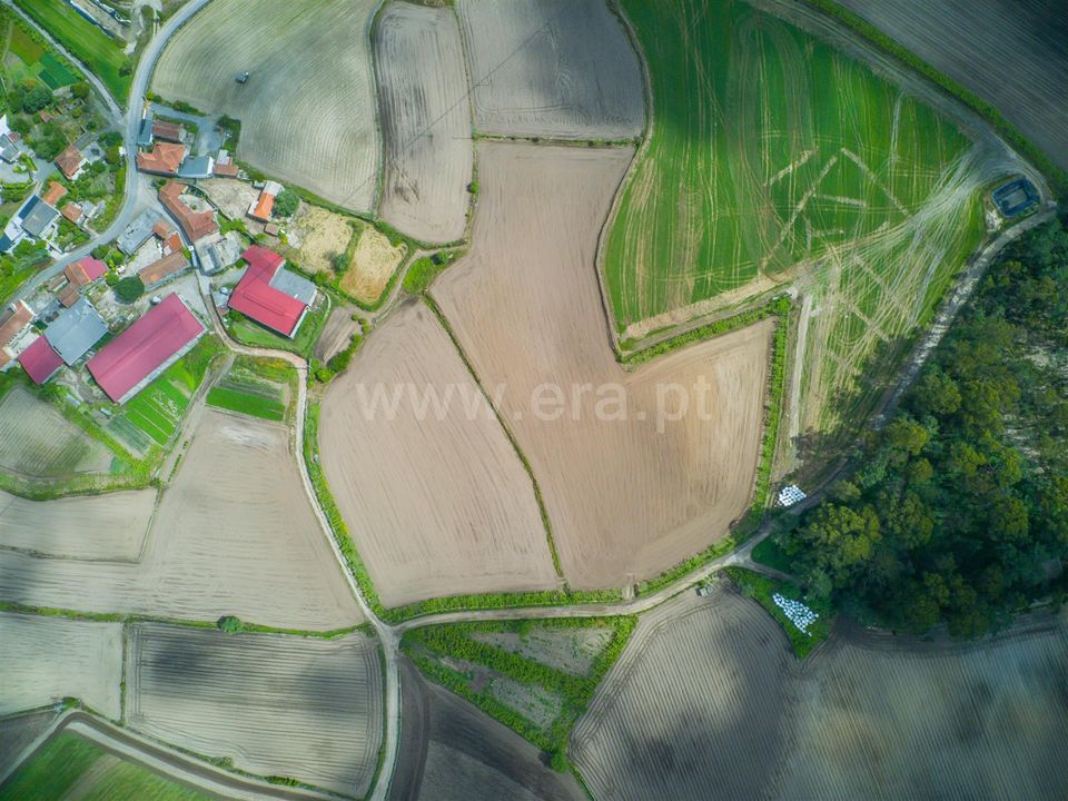 Helårsgrund i Barcelos, Braga - foto 4