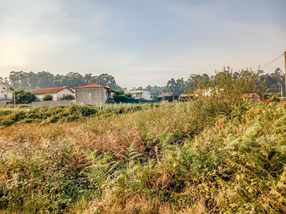 Helårsgrund i Barcelos, Braga - foto 3