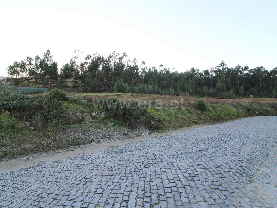 Helårsgrund i Barcelos, Braga - foto 1