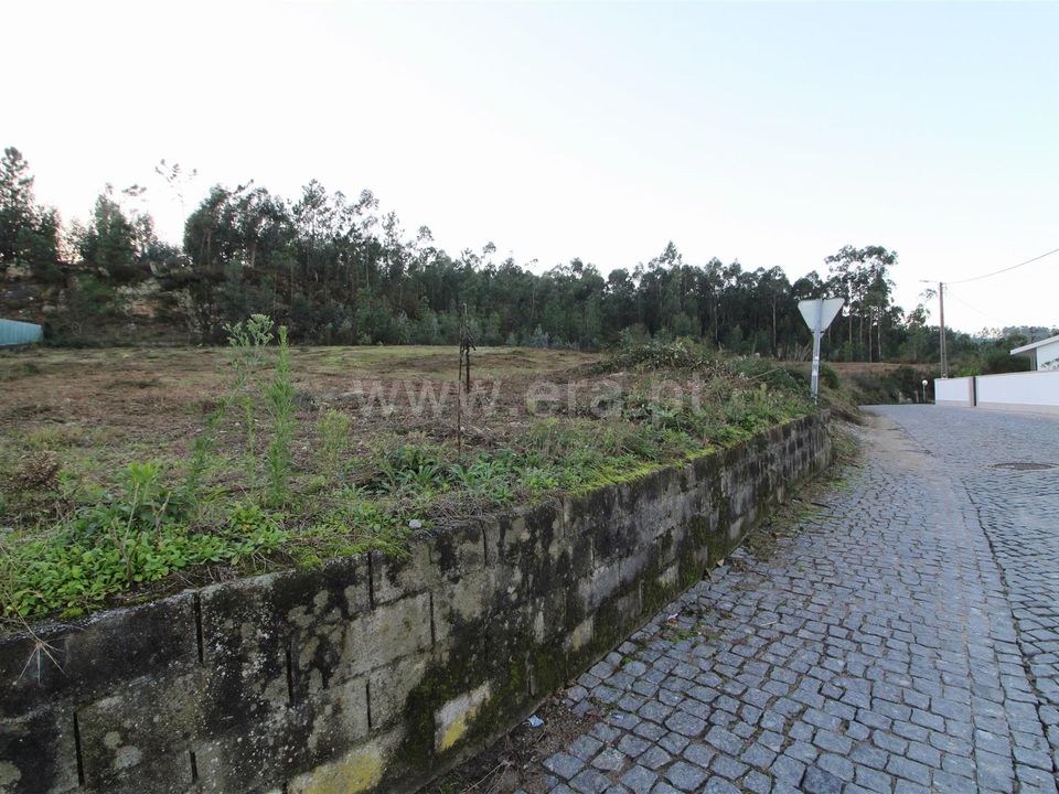 Helårsgrund i Barcelos, Braga - foto 3