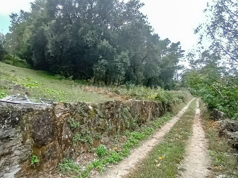 Helårsgrund i Barcelos, Braga - foto 1