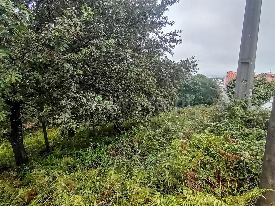 Helårsgrund i Barcelos, Braga - foto 4