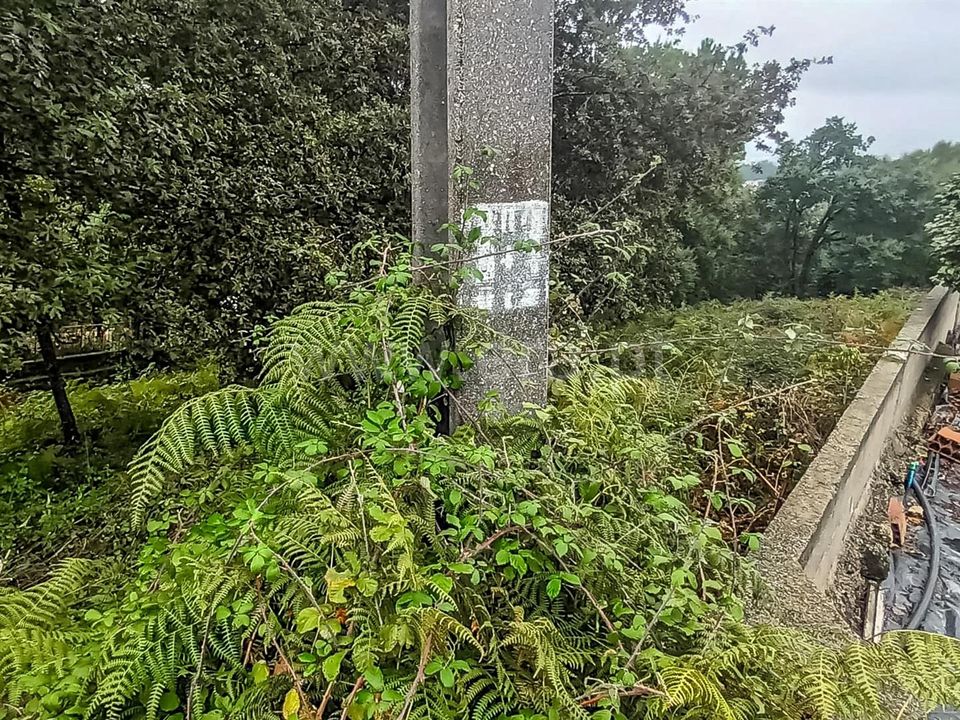 Helårsgrund i Barcelos, Braga - foto 5