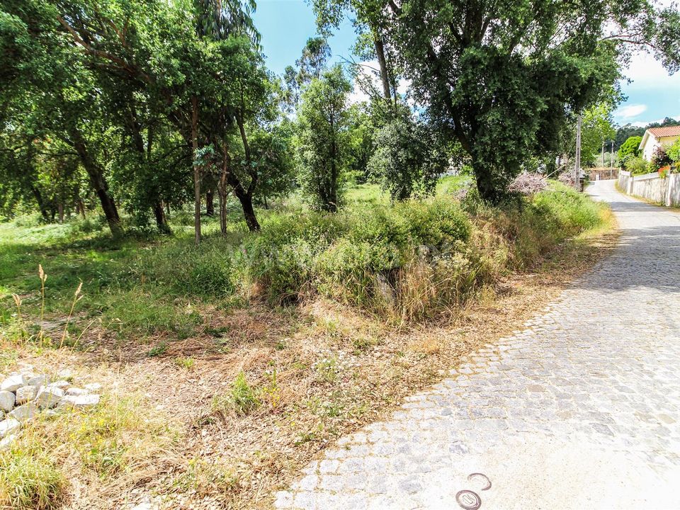 Helårsgrund i Barcelos, Braga - foto 2