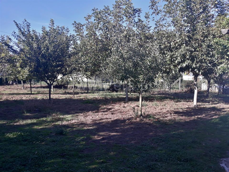 Helårsgrund i Barcelos, Braga - foto 1