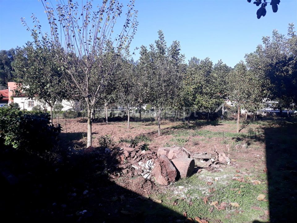 Helårsgrund i Barcelos, Braga - foto 2